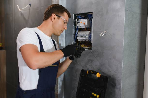 Best Electric Panel Repair  in Madison, WI